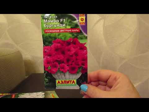 Видео: Лучшие сорта петунии.Часть 1