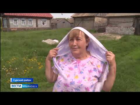 Видео: На Сурский район обрушилась атака красноголовой мошки