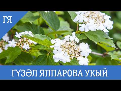 Видео: ЕЛАТТЫ "БАЛАН ЧӘЧКӘСЕ" ИРЕК ГАБДРАХМАНОВ  ГҮЗӘЛ ЯППАРОВА УКЫЙ #читаетгузельяппарова