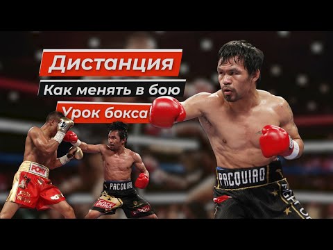 Видео: Дистанции и фазы атак || Как менять дистанции || Тактика и техника #урокибокса #бокс