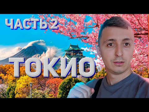 Видео: Большое путешествие в ЯПОНИЮ. ОСАКА. ПАРК НАРА. Часть 2