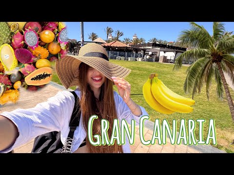 Видео: VLOG: ￼ГРАН-КАНАРИЯ 2025: ОТДЫХ, РЫНОК ВЕГЕТА, ЦЕНЫ И АТМОСФЕРА