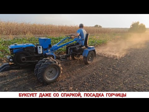 Видео: БУКСУЕТ ДАЖЕ СО СПАРКОЙ, ПОСАДКА ГОРЧИЦЫ, ТЯЖЁЛЫЙ МОТОБЛОК СО СПАРКОЙ КОЛЁС / PLANTING MUSTARD