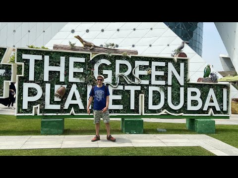 Видео: Тропические растения и животные под куполом посреди пустыни. The Green Planet, Дубай