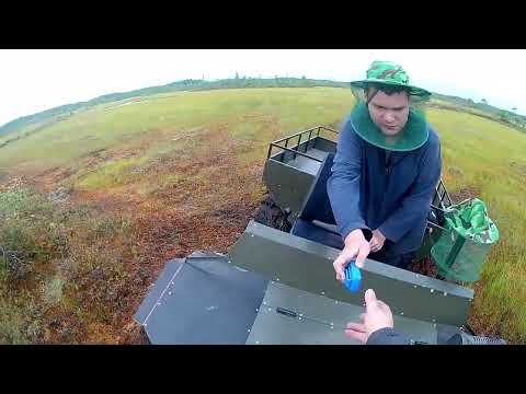 Видео: 26 июля 2025 г.