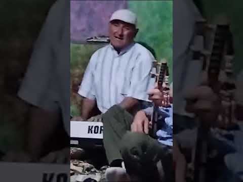 Видео: туй дустон