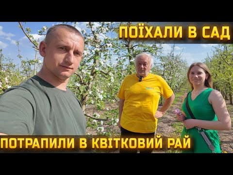 Видео: 🇺🇦Секрети досвідченого Садівника! Як врятувати сад від заморозків. Розсада квітів і овочів.
