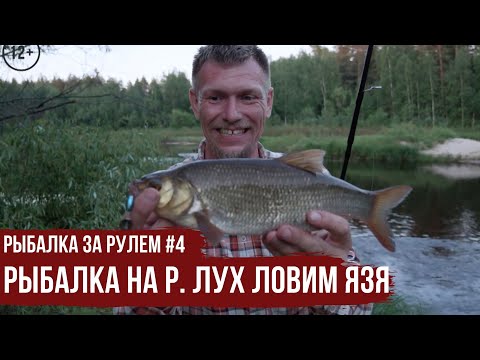 Видео: Рыбалка на р. Лух ловим ЯЗЯ \ Рыбалка за рулем #4 \ #6