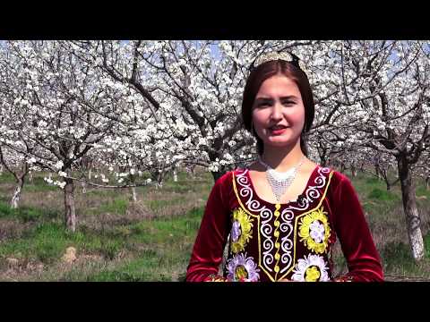 Видео: Баҳор дар шаҳри Левакант (Леваканд, Сарбанд)