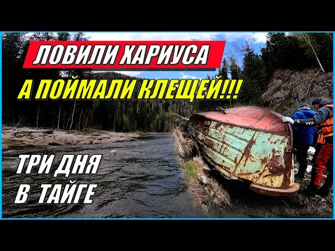 Видео: ОТКРЫВАЕМ СЕЗОН(2023)/ГОРНАЯ РЕКА/КУЧА КЛЕЩЕЙ!!! #активныйотдых #путешествие #рыбалка #тайга