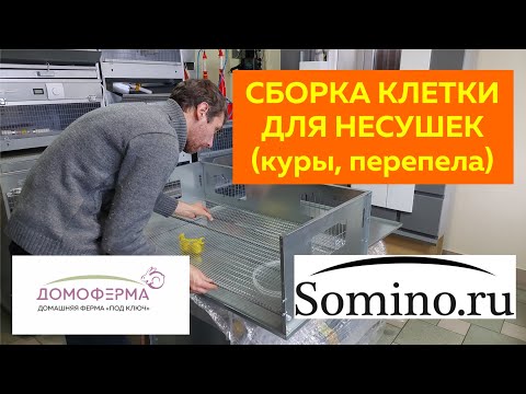 Видео: Сборка клетки для кур-несушек и перепелов-несушек "Сомино" и "Домоферма"