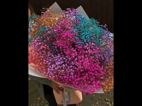 Видео: Аслан Тоторкулов & Сулейман Хачиров - Къарачай