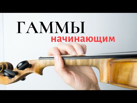 Видео: Играть Гаммы На Скрипке / С чего начать / Для Начинающих