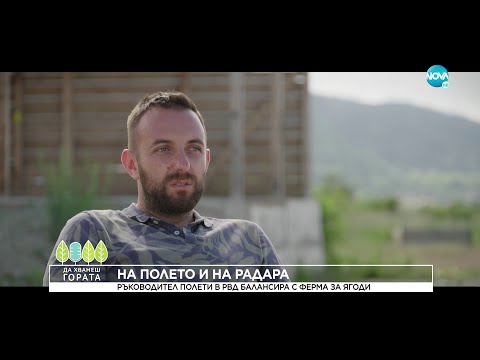 Видео: Да хванеш гората (26.06.2022)