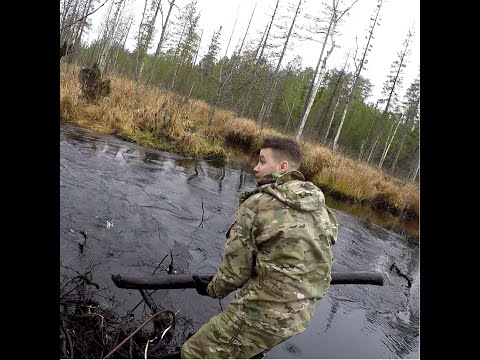 Видео: Бобры и плотины