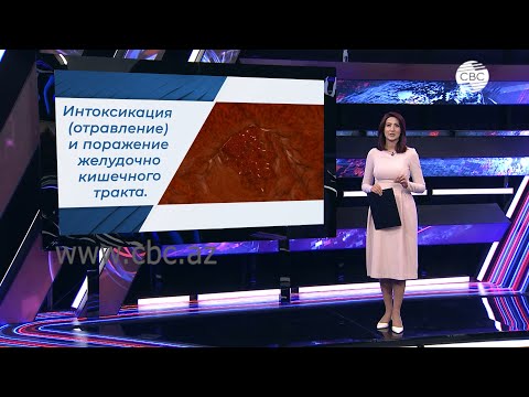 Видео: Признаки и симптомы кишечной инфекции. Источники, этиология и лечение