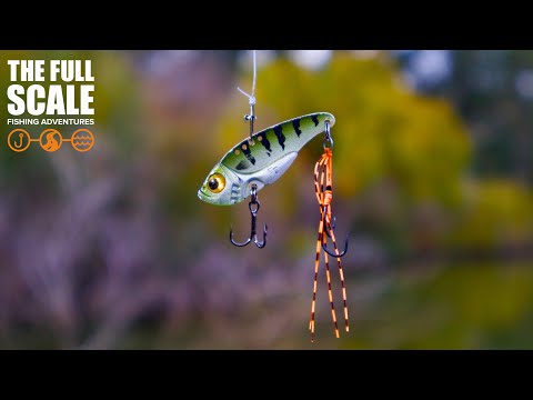 Видео: Это лучшая приманка для золотого окуня? | Полная шкала