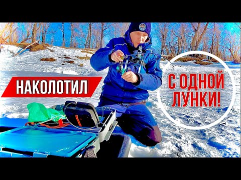 Видео: В ЭТОЙ ЛУНКЕ ВСЯ РЫБА! КЛЮЁТ НА КАЖДОМ ПОДБРОСЕ! Погода, рыбалка В МАРТЕ КАЙФ!