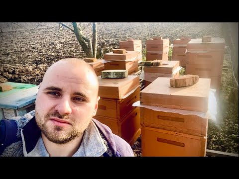 Видео: 🛑Чому я відмовляюся від ППС вуликів. Контроль бджолосімей, перший обліт бджілок в 2023році.