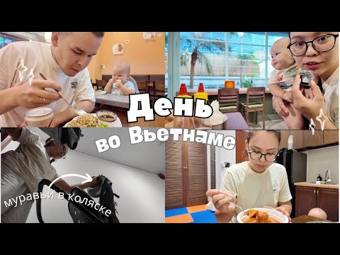 Видео: Один день во Вьетнаме | муравьи в коляске, местные кафе и токпокки