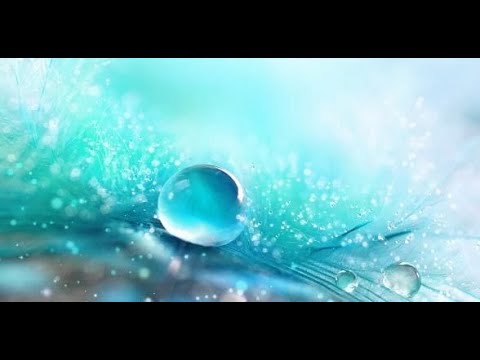 Видео: А.В.Клюев - Этюды. 4/8