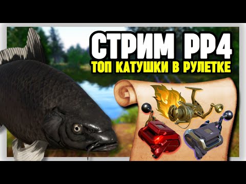 Видео: 🔴 СТРИМ РР4┃🔥ПРОВЕРКА КАРПОВ КОИ НА ОЗЕРЕ МЕДНОМ┃🎁 ТОПОВЫЙ РАПТОР 40 в рулетке┃maXS1k