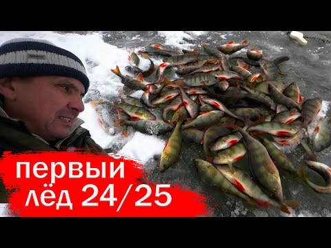 Видео: Первый лёд 2024-25. Зимняя рыбалка. Рыбалка на окуня.