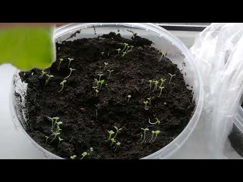 Видео: Вяжем 2023! часть8.