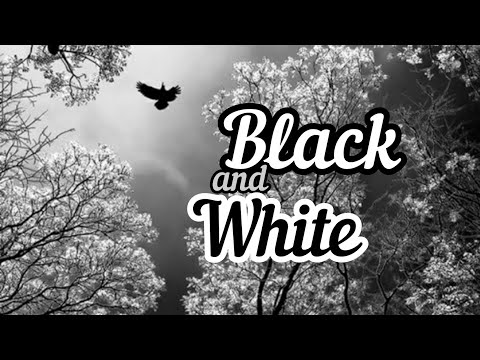 Видео: Переписка Инспектор Гаджет:"Black and White"~Автор: AkirA Aadon