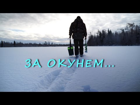 Видео: РЫБАЛКА НА ОКУНЯ. ТАЕЖНОЕ ОЗЕРО ОПЯТЬ УДИВЛЯЕТ.