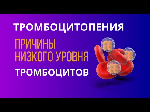 Видео: Тромбоцитопения. Основные причины снижения тромбоцитов