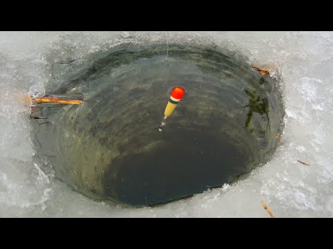 Видео: ОНИ УТАСКИВАЮТ УДОЧКИ ПОД ЛЕД.Зимняя рыбалка на поплавок