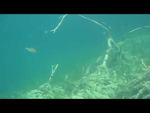 Видео: Удачный день на озере Ильзе.
