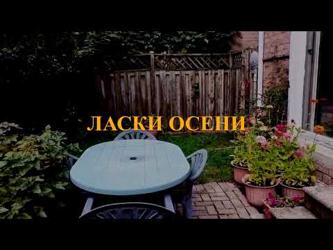 Видео: Ласки осени - Геннадий Бейгин