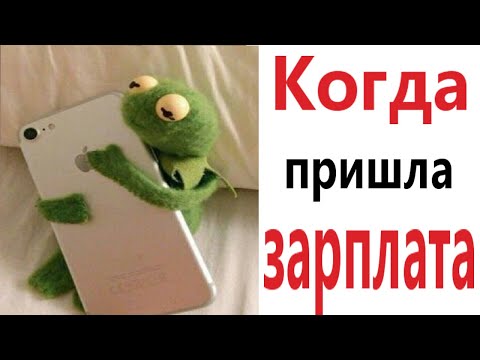 Видео: Приколы! КОГДА ПРИШЛА ЗАРПЛАТА - МЕМЫ!!! Смешные видео от – Доми шоу!