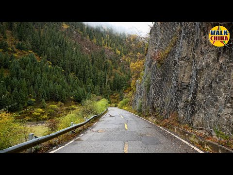 Видео: Проезжая по красочным заснеженным лесам: самые красивые осенние пейзажи Тибета (4K HDR)