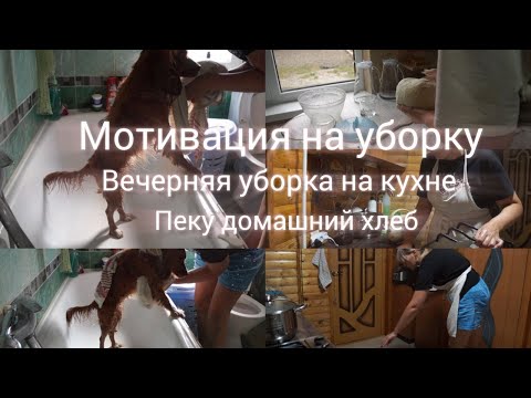 Видео: Вечерняя уборка на кухне Пеку домашний хлеб Купаю собаку Асю Мотивация на уборку