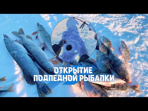 Видео: ШОК!!! ПОЙМАЛ ЩУКУ НА УДОЧКУ И МНОГО КРУПНОГО ОКУНЯ!