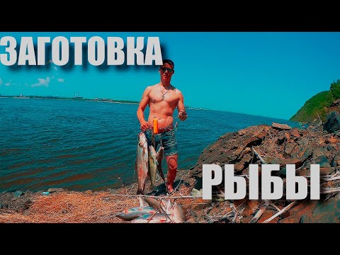 Видео: ПОЙМАТЬ И ЗАМОРОЗИТЬ. РЫБАЛКА НА АМУРЕ 2021