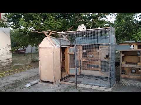 Видео: Строим новую голубятник