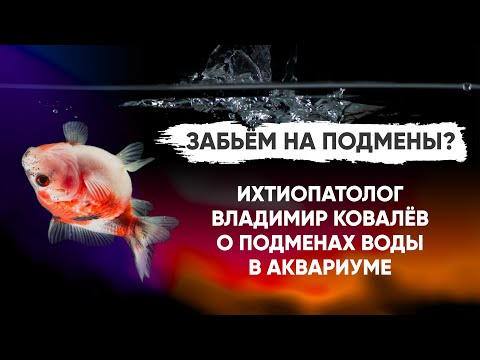 Видео: Нужны ли подмены воды в аквариуме?