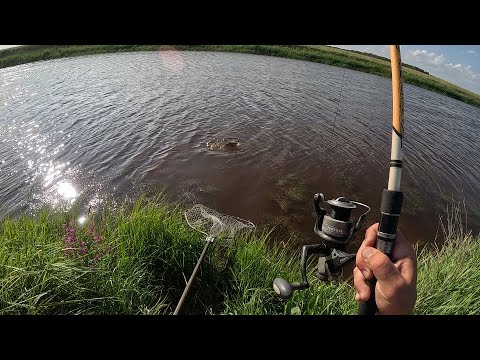 Видео: САЗАН ВСЕГДА БЕРЁТ НА ЭТУ ОСНАСТКУ. НЕ УДЕРЖАЛСЯ ОН ПЕРЕД ЭТОЙ КАШЕЙ)))  РЕЧКА РАДУЕТ РАЗНОРЫБЬЕМ...