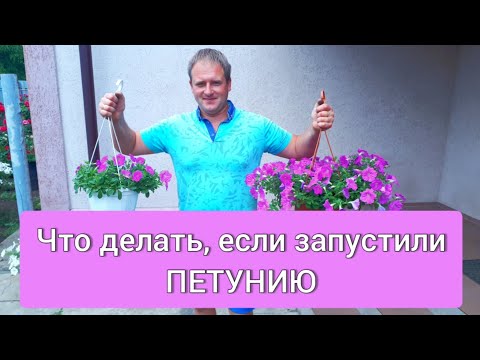 Видео: Что делать, если запустили петунию