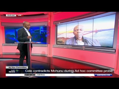 Видео: Мчуну, заявления Селе в Специальном комитете доказывают, что у ЮАР большие проблемы: профессор Мн...