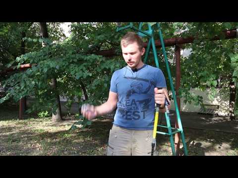 Видео: Пара насадок для скандинавской ходьбы для треккинговых палок | 170 руб. ($2.32)