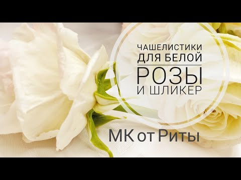 Видео: Чашелистики двухцветные для розы.МК от Риты. Sepals two-color for a rose tutorial by Rita.