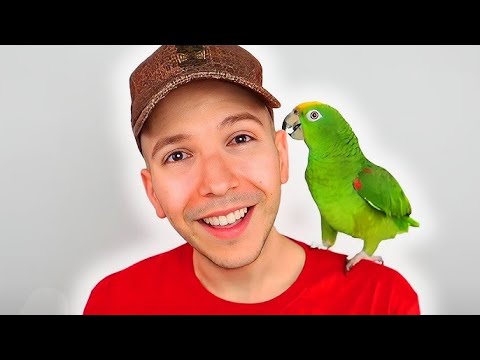 Видео: NIKOCADO AVOCADO И НАЙ-ОПАСНИЯТ СОЦИАЛЕН ЕКСПЕРИМЕНТ В ИНТЕРНЕТ!