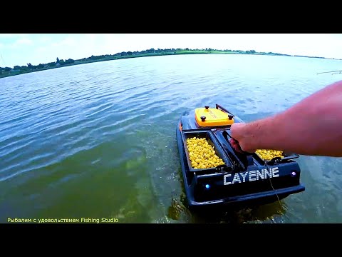 Видео: Летняя рыбалка в с. Ялыновка на Ферментированную Кукурузу