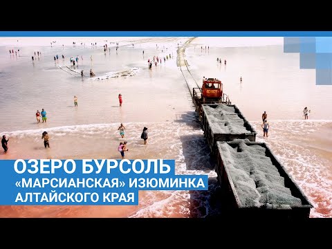 Видео: Озеро Бурсоль –«марсианская» изюминка Алтайского края | NGS.RU