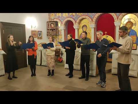 Видео: "Кенгуру" С.Екимов